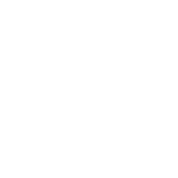 globalstatsviewer-v2.pages.dev favicon